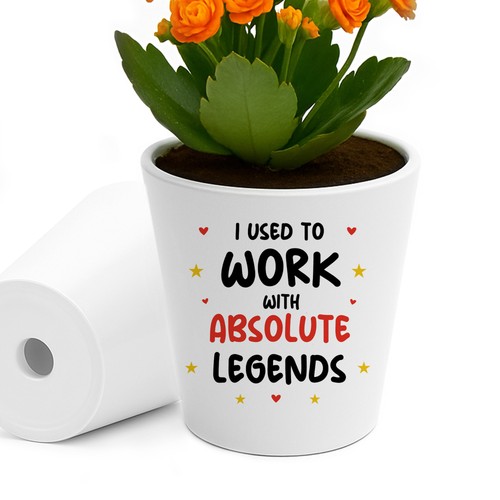 Funny gift for colleague - for, plant